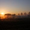 Morgenstimmung am Niederrhein