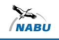 nabu
